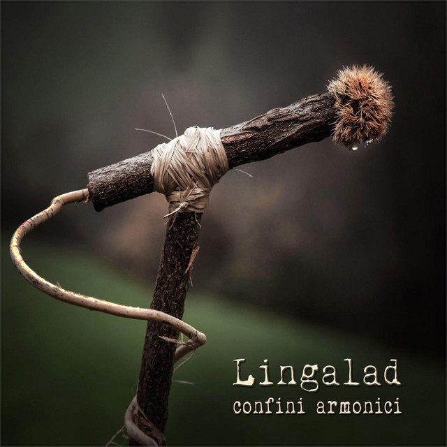 Confini armonici cover art