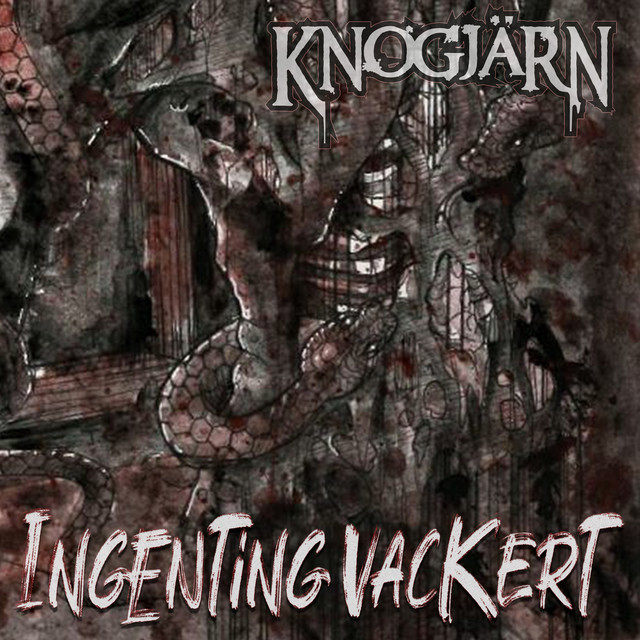 Ingenting Vackert cover