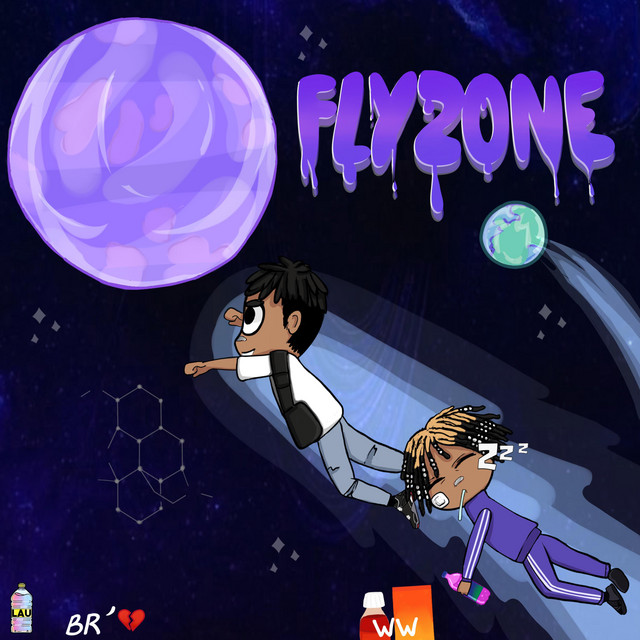 FlyZone cover art