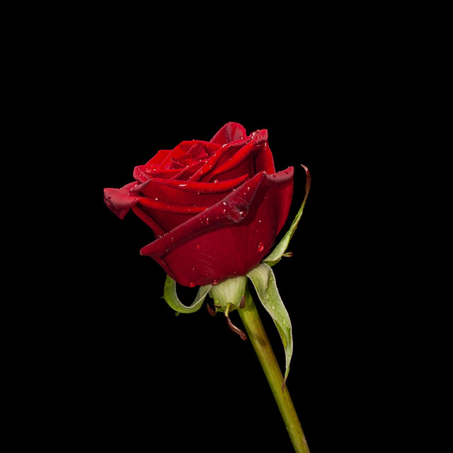 Red (Acoustic) cover