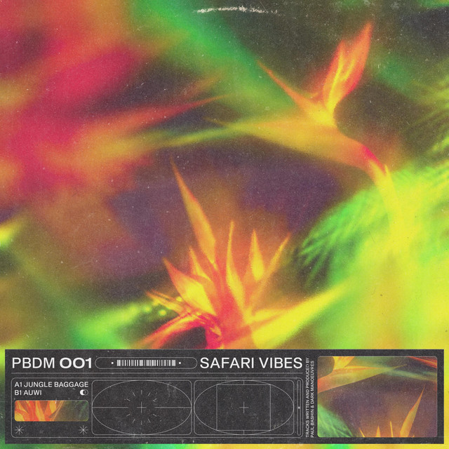 Safari Vibes cover art