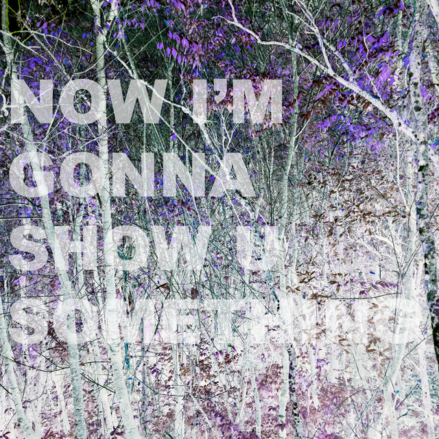 Now I'm Gonna Show U Something cover