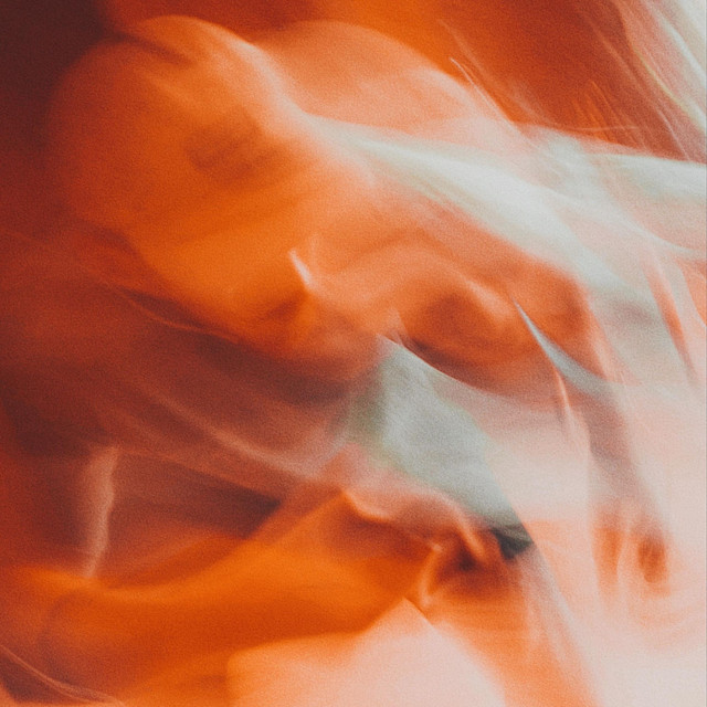 Butterfly / Transitions album image