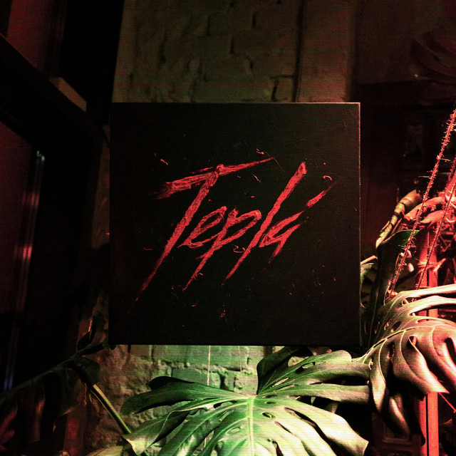 Cover art for Tepla — Alive