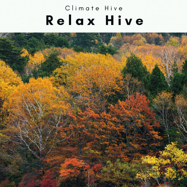 1 Relax Hive cover art