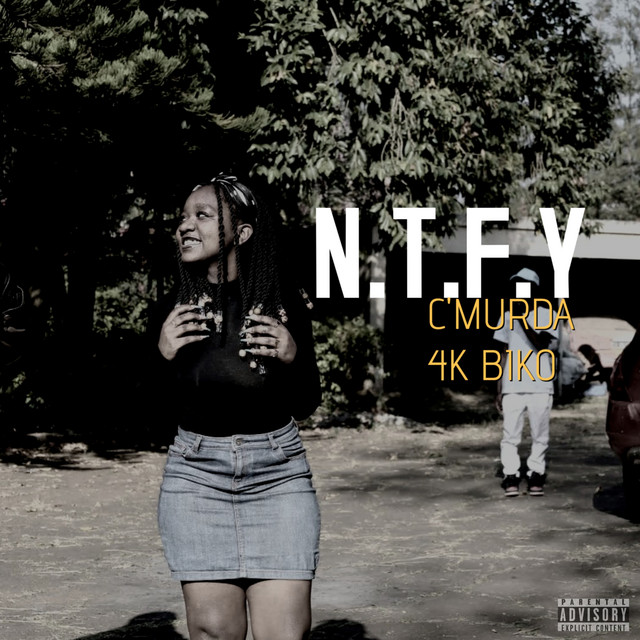 N.T.F.Y