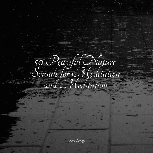 50 Peaceful Nature Sounds for Meditation and Meditation - Album by Rain ...