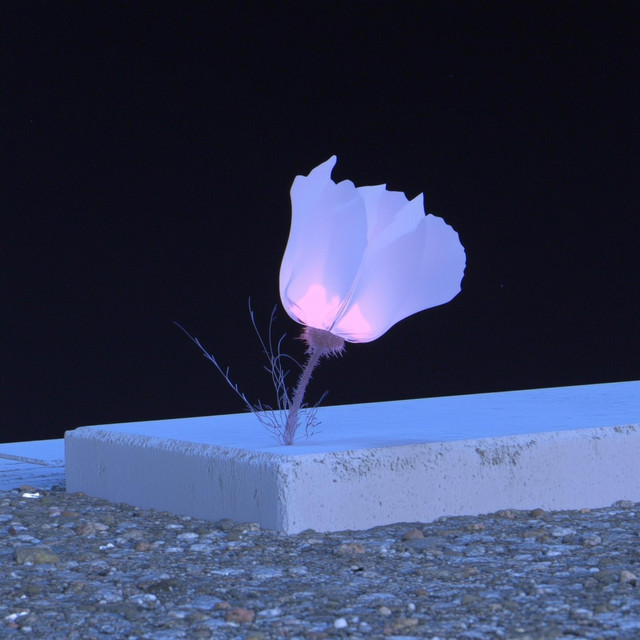 Petals Through Concrete