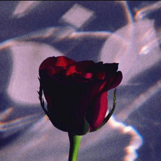 silverplatter cover art