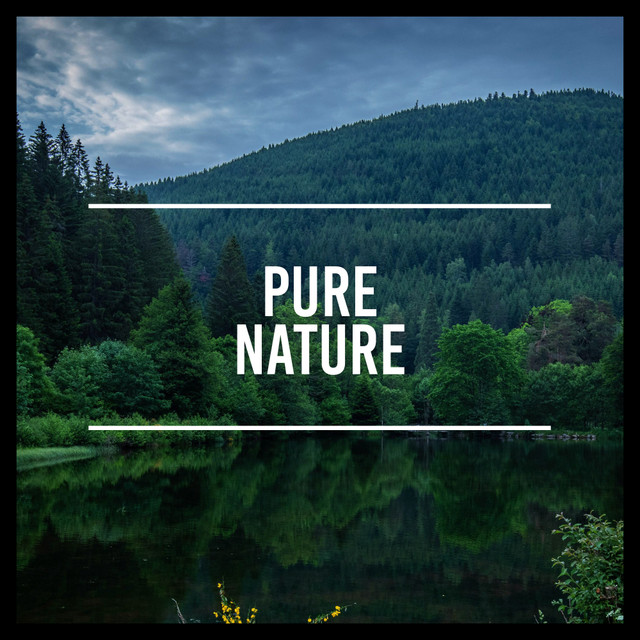 Pure Nature cover art