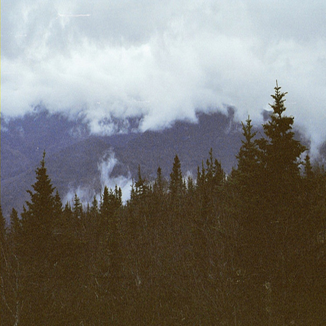 forever cover art