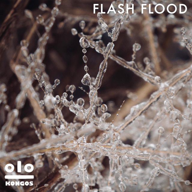 Flash Flood cover art