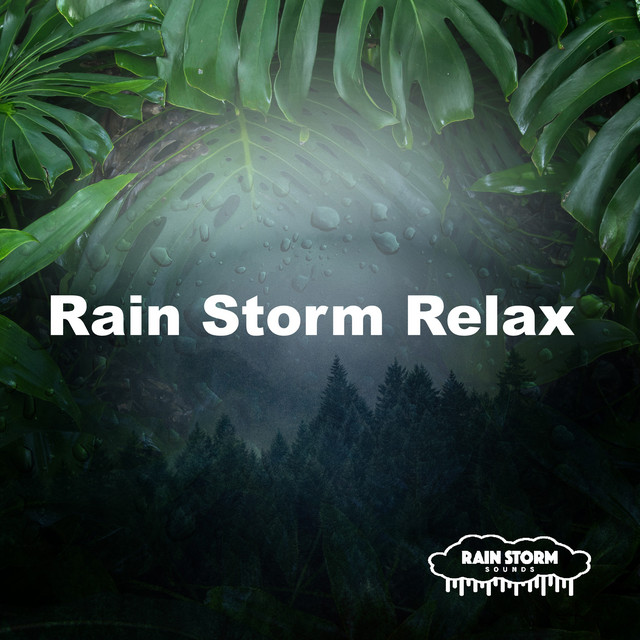 Rain Storm Relax cover art