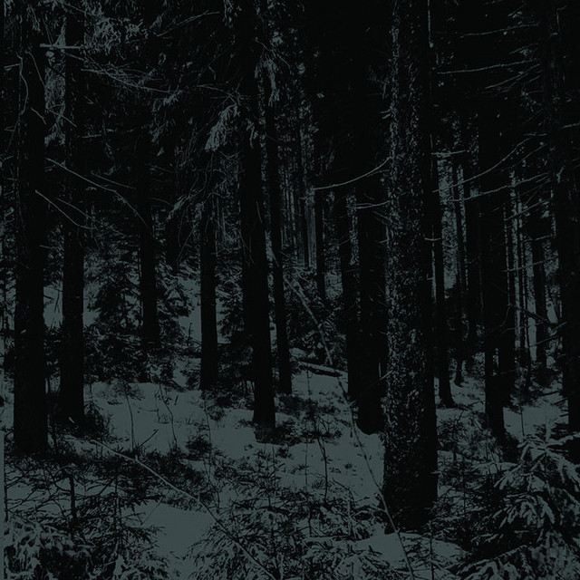 Abstrakter Wald cover art