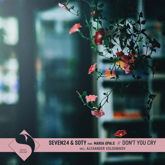 Cover art: Don't You Cry - Alexander Volosnikov Remix — Seven24