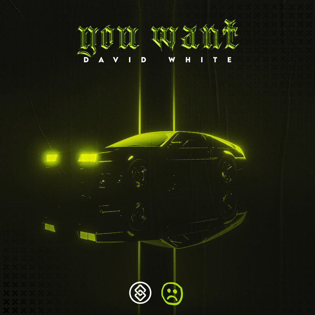You Want - Extended Mix album art