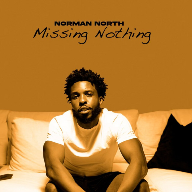 Missing Nothing cover art