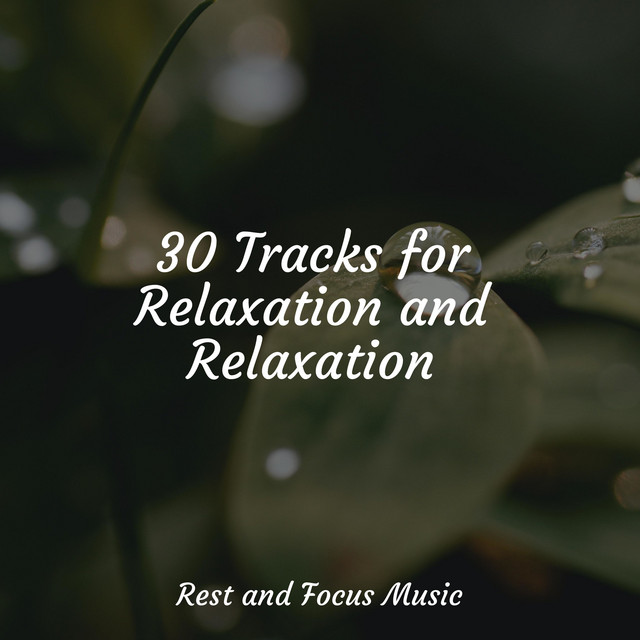 30 Tracks for Relaxation and Relaxation - Album by Serenity Spa Music ...