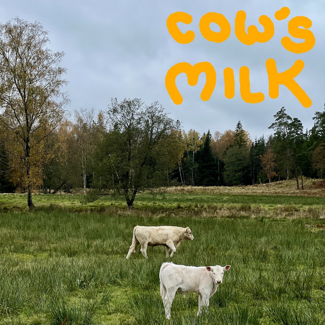 undefined album image