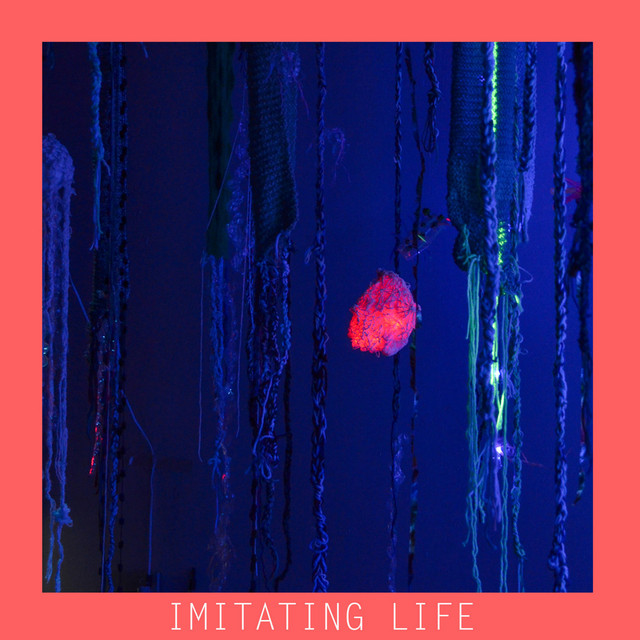Imitating Life - Album by Jordan Randall | Spotify