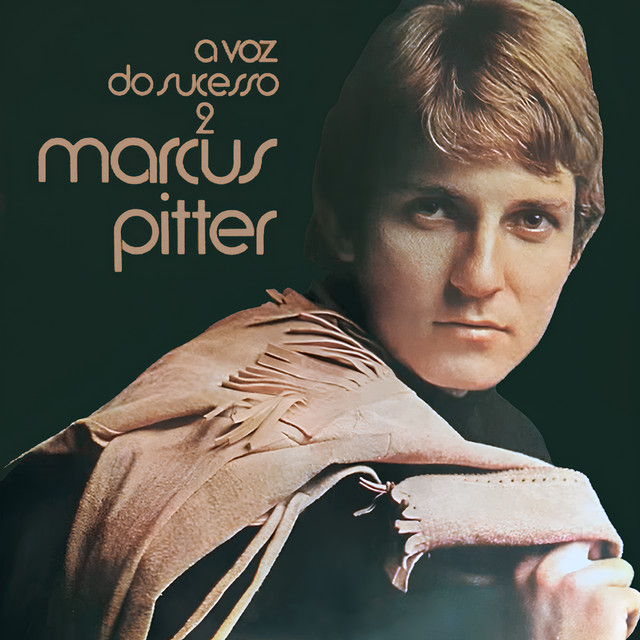 A Voz do Sucesso, Vol. 2 cover