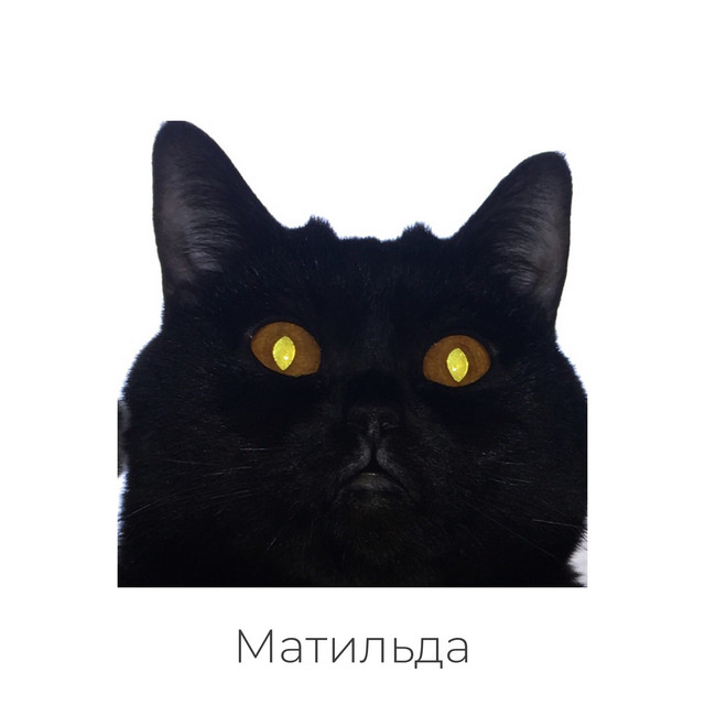 Обкладинка: Матильда — August J