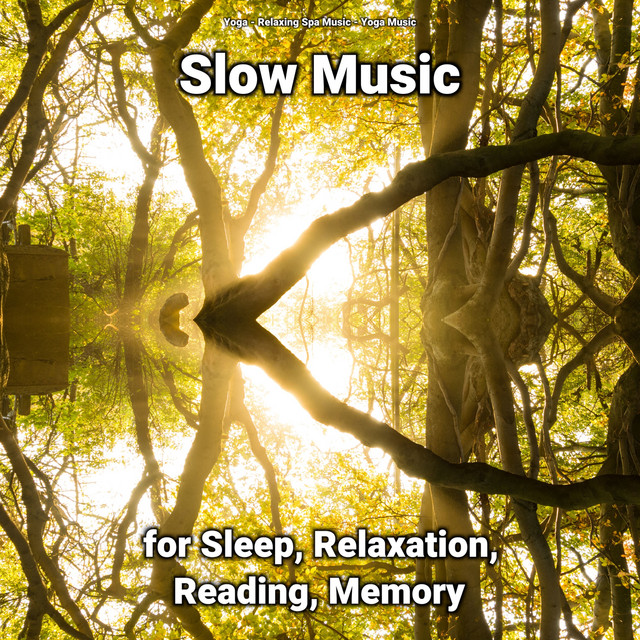 Slow Music for Sleep, Relaxation, Reading, Memory - Album by Yoga | Spotify