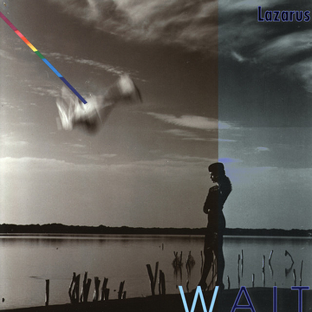 Wait cover art