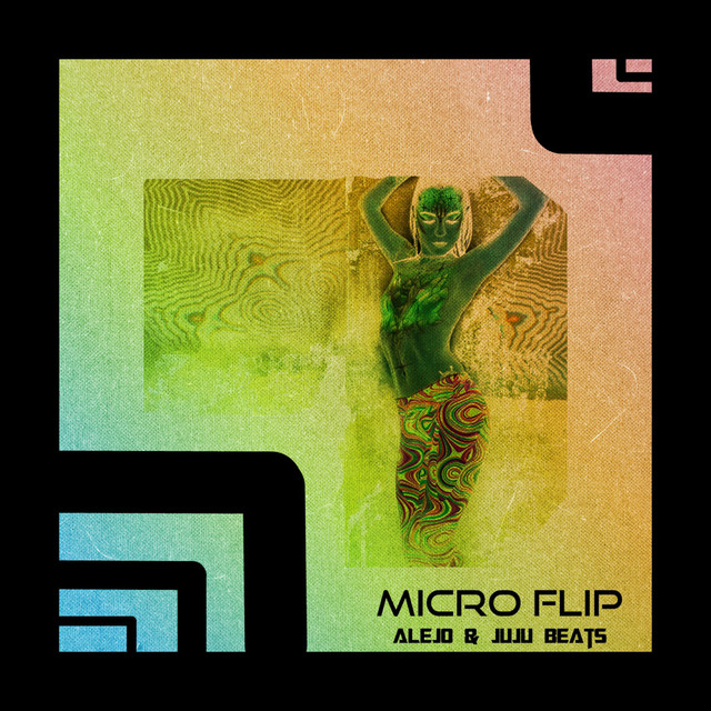 Micro Flip cover art