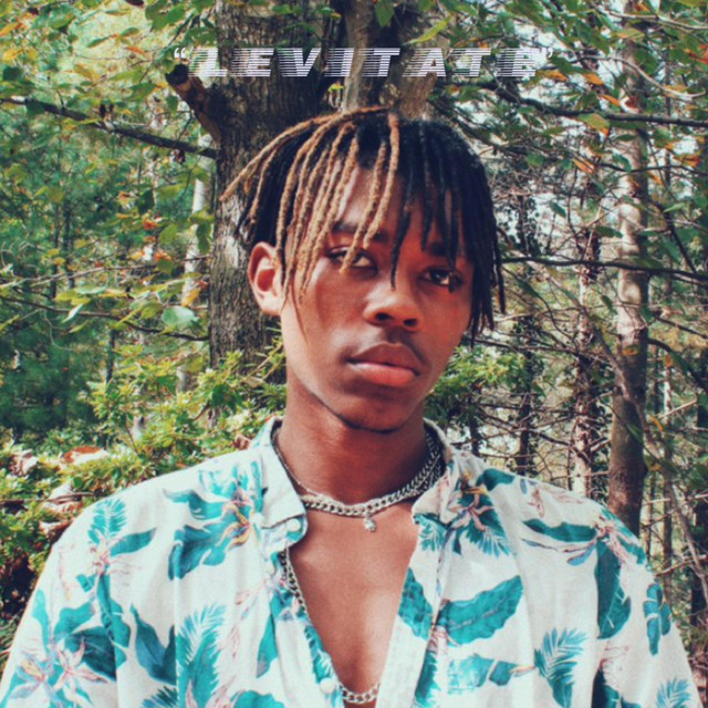 Levitate cover art