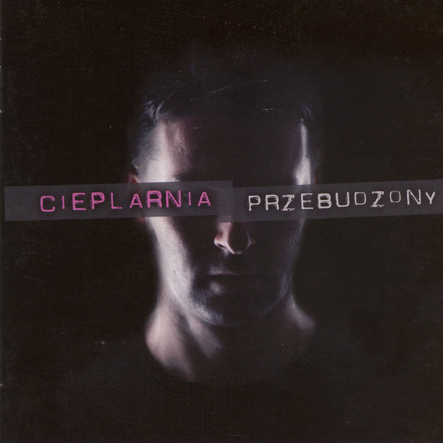 Przebudzony cover art