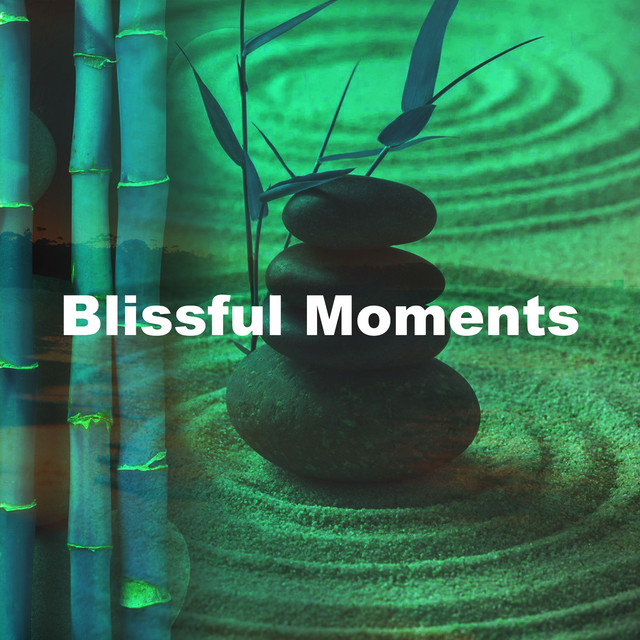 Blissful Moments cover art