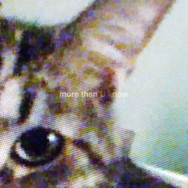 more than U know cover art