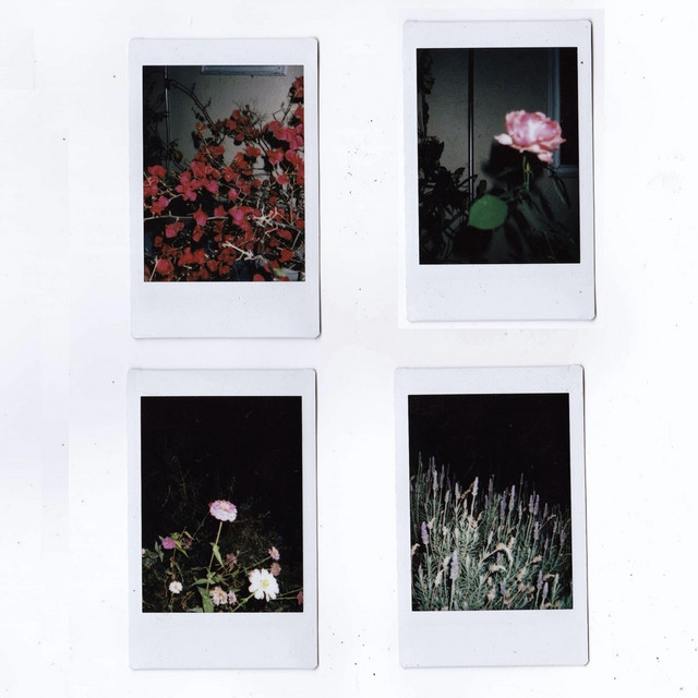 coldwater cover art