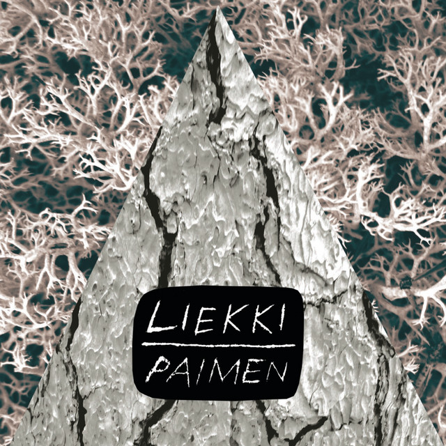 Paimen cover art