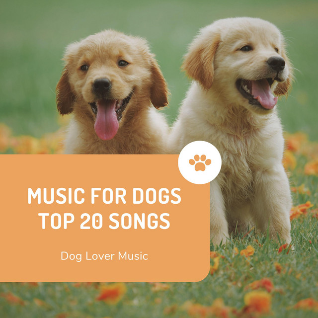 Music for dogs Top 20 songs cover