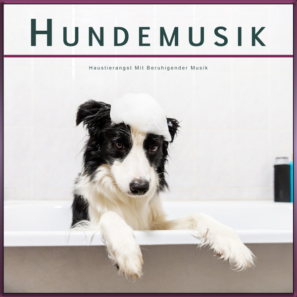 Hunde-Pyjama Für Große Rassen – Anti-Leck-Shirt, Beruhigend, Dehnbar, Mit Pferde-Druck, Größe 3XL, Blau