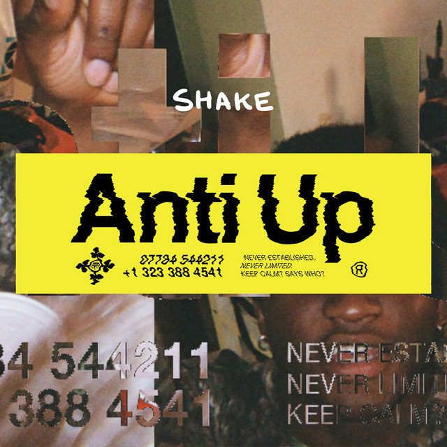 Shake - Extended Mix album art