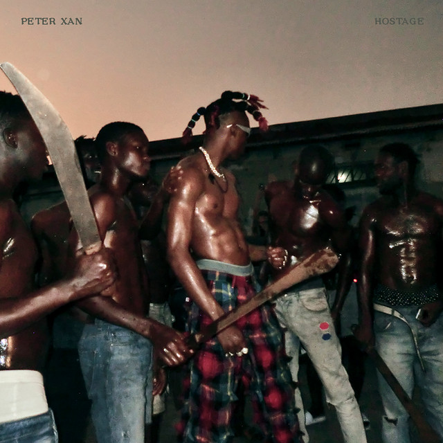 Hostage cover art