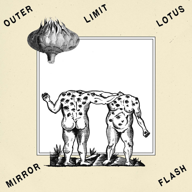 Mirror Flash cover