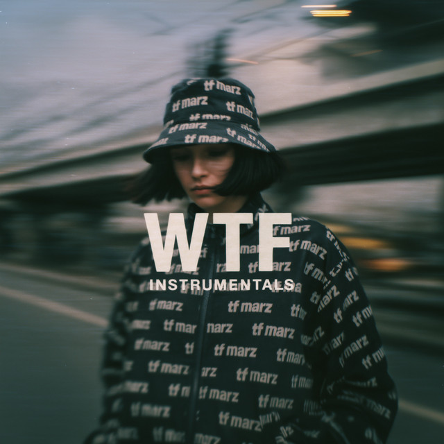 WTF INSTRUMENTALS cover art