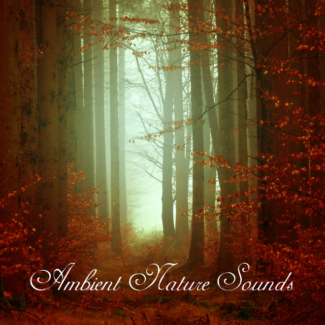 Ambient Elemental Harmony cover art