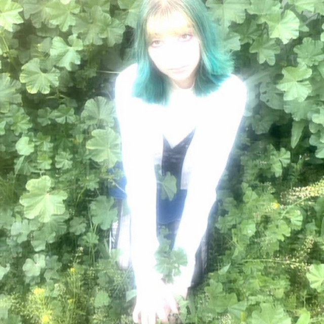 P.D.A. cover art