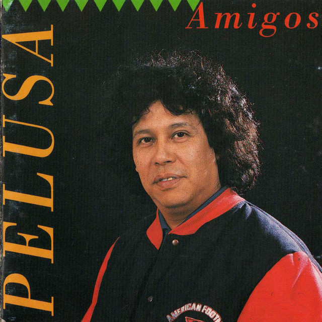 Amigos cover art