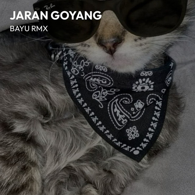 BAYU RMX