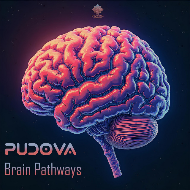 Brain Pathways cover art