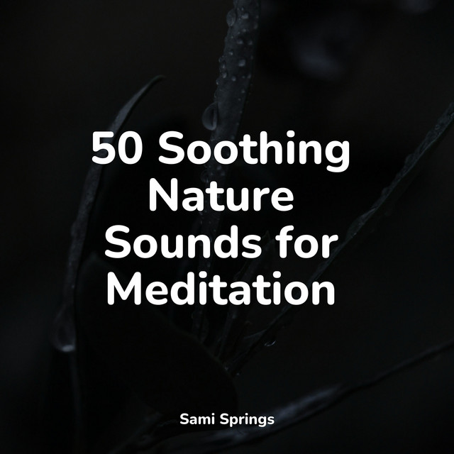 50 Soothing Nature Sounds for Meditation - Album by Rainforest Sounds ...