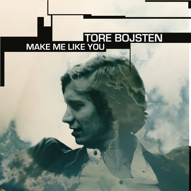 Cover of Make Me Like You by Tore