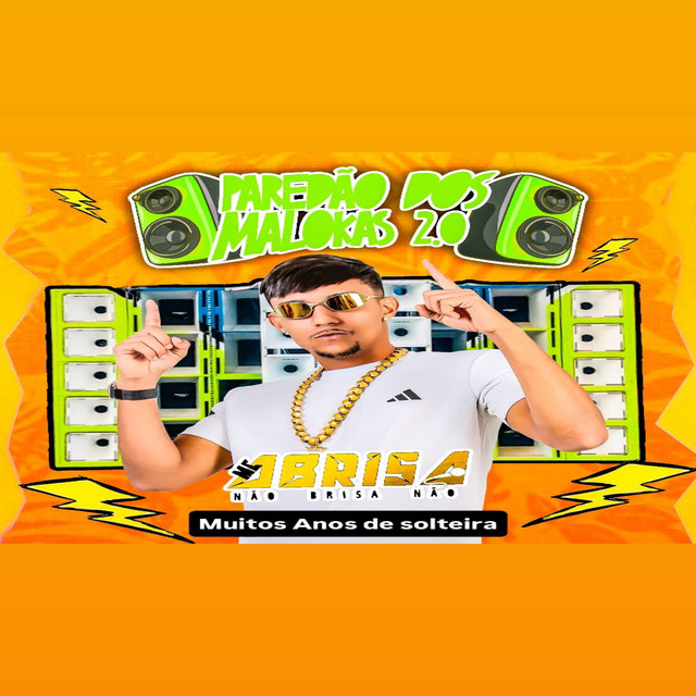 Muitos Anos Solteira - Paredao dos Malokas 2.0
