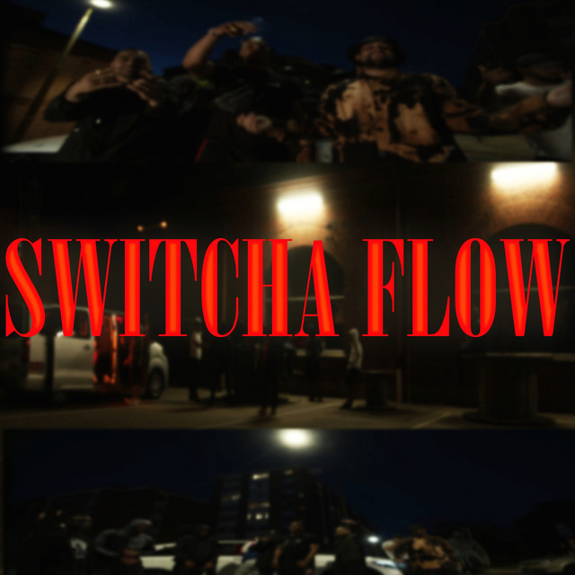 SWITCHA FLOW cover art